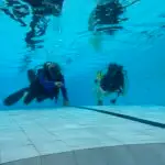 Try Dives