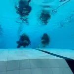 Try Dives